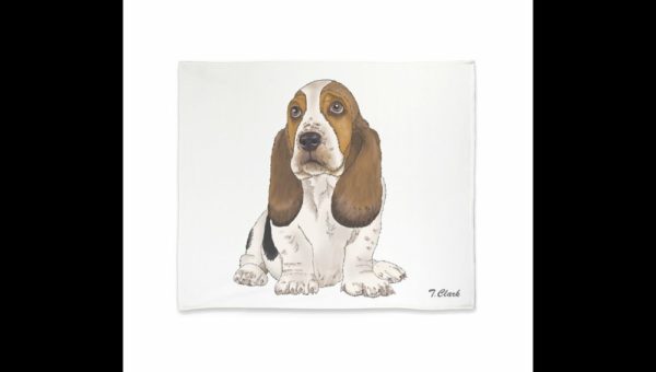 Drawing of a Basset Hound - Image 6