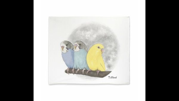 Drawing of Three Colourful Budgerigars - Image 6