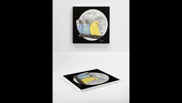 Drawing of Three Colourful Budgerigars - Image 4