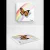Drawing of a Butterfly and Rainbow - Image 4