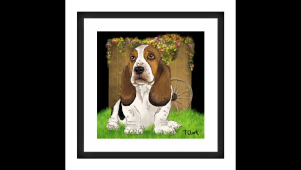 Drawing of a Basset Hound - Image 3