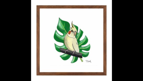 Drawing of a Cockatoo - Image 3