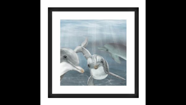 Drawing of Dolphins - Image 3