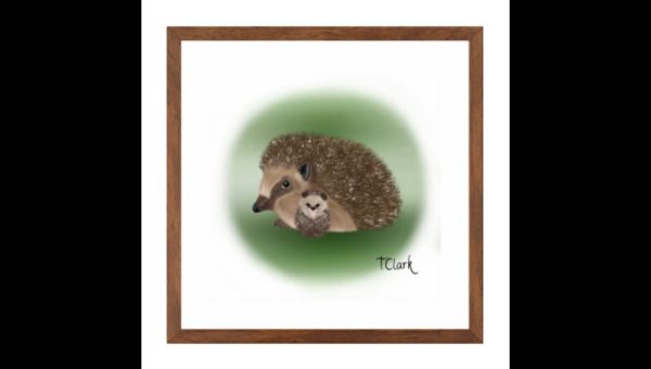 Drawing of Mum and Baby Hedgehogs - Image 3