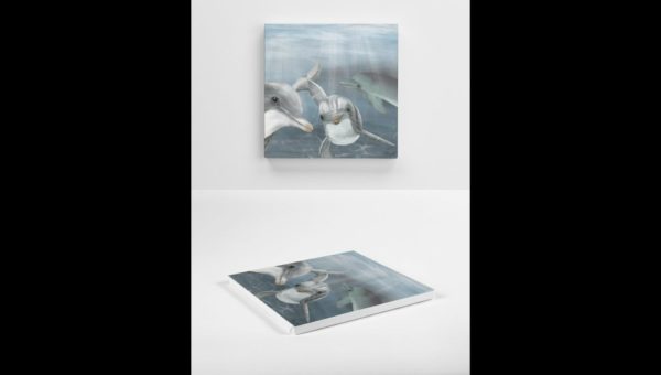 Drawing of Dolphins - Image 4