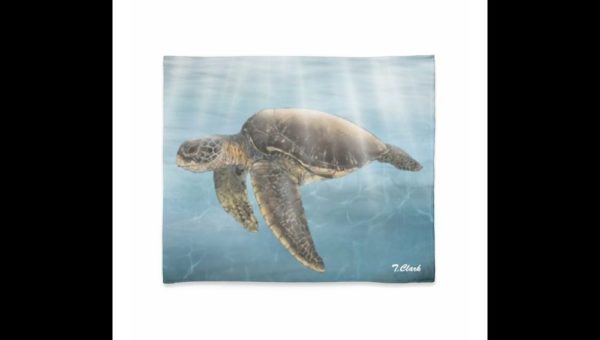 Drawing of a Sea Turtle - Image 6
