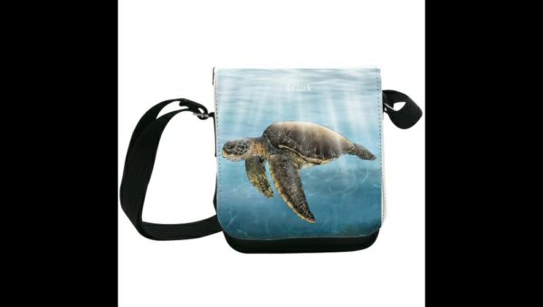 Drawing of a Sea Turtle - Image 7