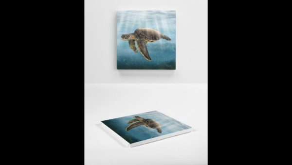 Drawing of a Sea Turtle - Image 4
