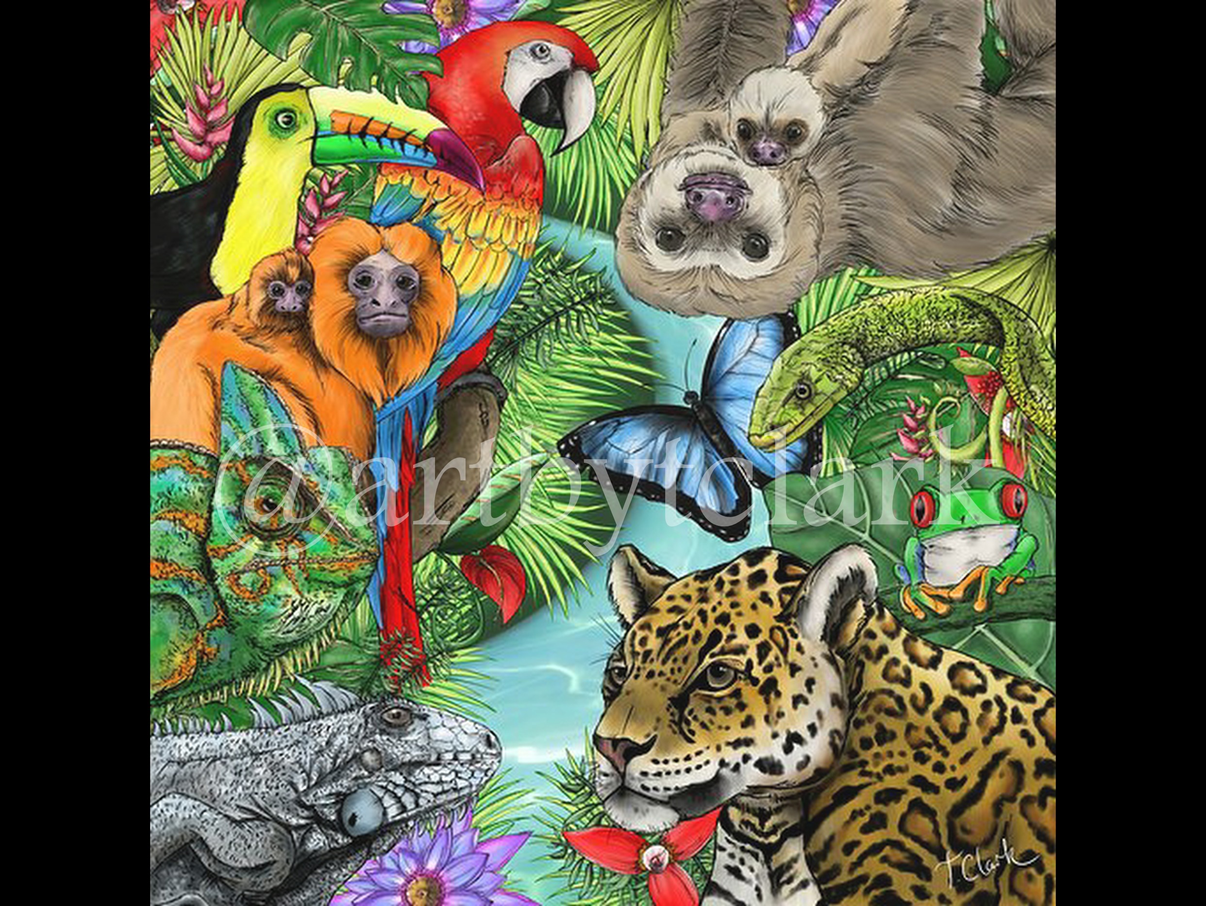 Drawing of the Amazon Rainforest and Animals - Art by T Clark