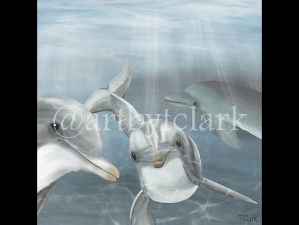 Sea Life Art Work - Image 2