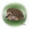 Animal Art Work - Image 5
