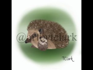 Drawing of Mum and Baby Hedgehogs