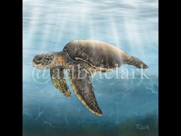 Sea Life Art Work